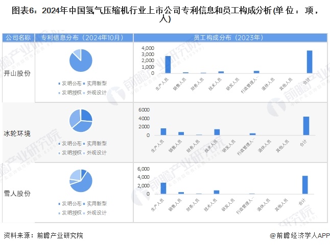 Kaiyun（中国体育）：【最全】2024年氢气压缩机行业上市公司全方位对比（附业务布局汇总、业绩对比、业务规划等）(图3)