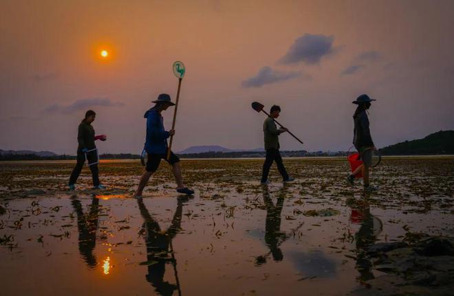 格式错误公式乱码……“卖空气”项目遭全网围观(图5)