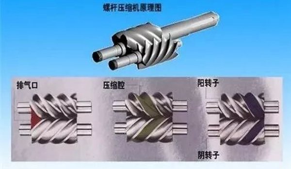 这些动画让你轻松了解螺杆式空压机原理(图3)