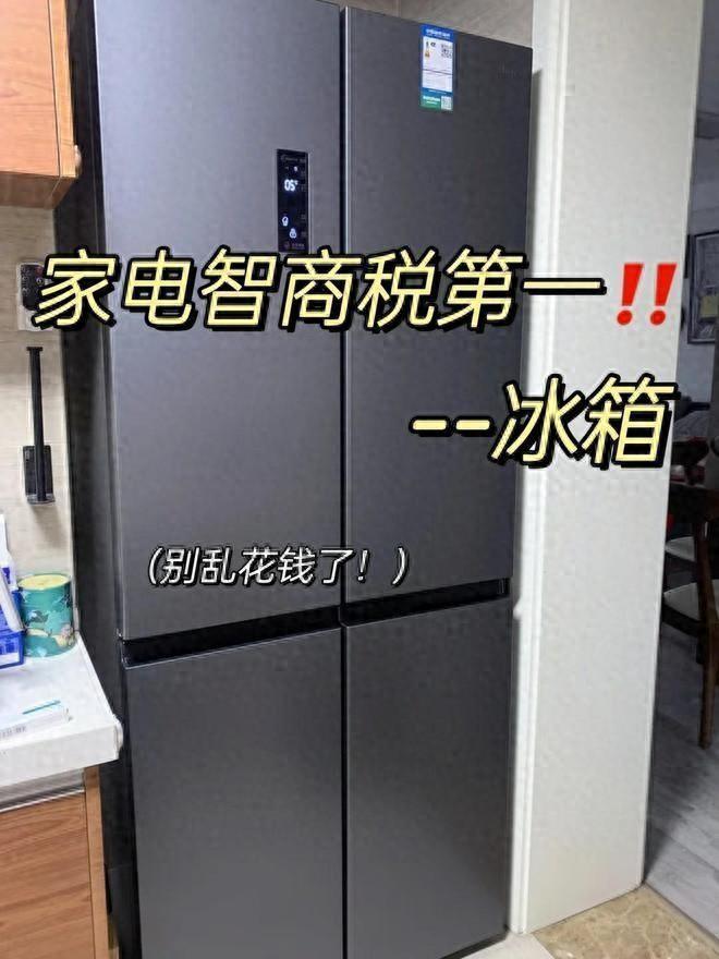 Kaiyun体育网站：冰箱哪个品牌最耐用质量好？2024十大名牌冰箱榜出炉：建议收藏(图1)