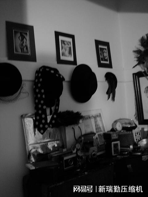 压缩机在新能源与绿色工业中的创新应用推动可持续发展(图3)