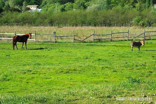 Kaiyun体育网站：压缩机在现代工业与能源系统中的高效应用与发展前景(图1)