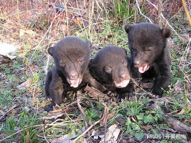 家庭空调与制冷设备中压缩机与机电系统的高效应用与智能发展(图2)