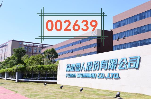 Kaiyun体育网站：雪人集团：三大风口能否融化2026年一季度的“冰雪”？(图2)