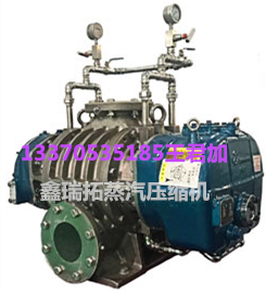 罗茨蒸汽压缩机厂家直销压缩机选型表价格表(图1)