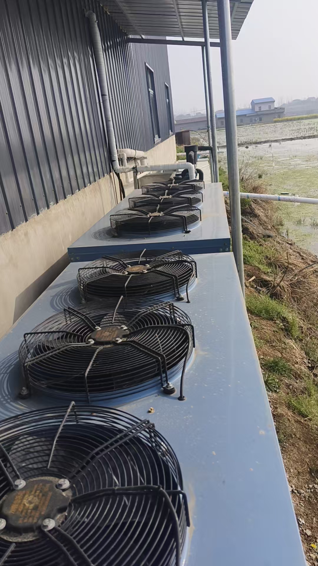 合肥制冷机组服务商综合评估与选型推荐（2026版）(图1)